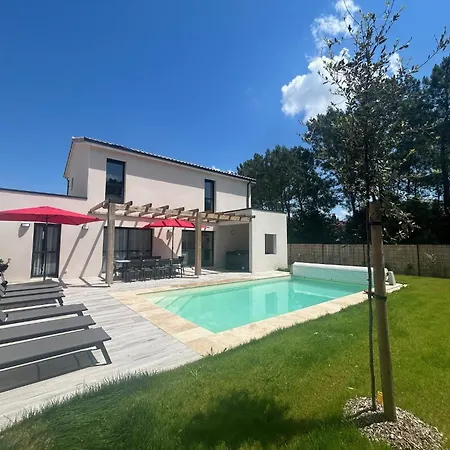 La Forêt D'armotte 19 *